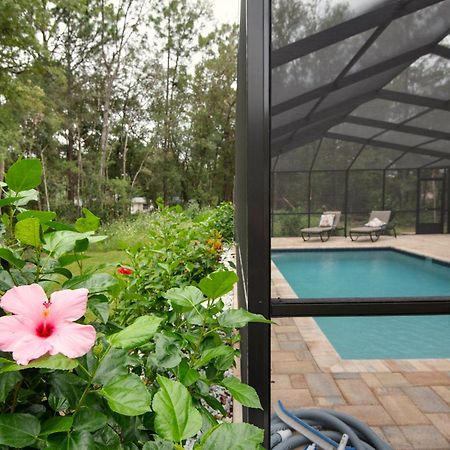 Pet-Friendly, Heated Pool, Close To Everything 3 Bedroom Home Dunnellon Zewnętrze zdjęcie