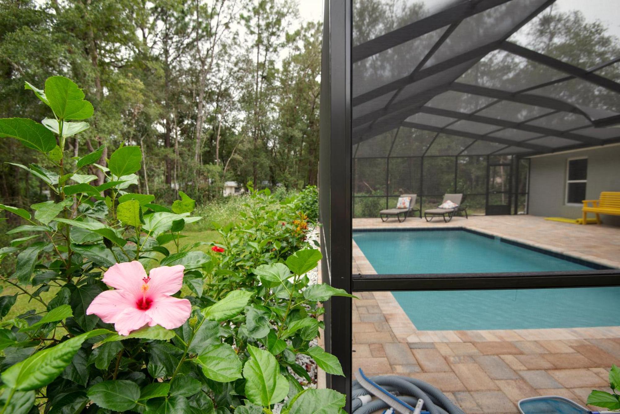 Pet-Friendly, Heated Pool, Close To Everything 3 Bedroom Home Dunnellon Zewnętrze zdjęcie